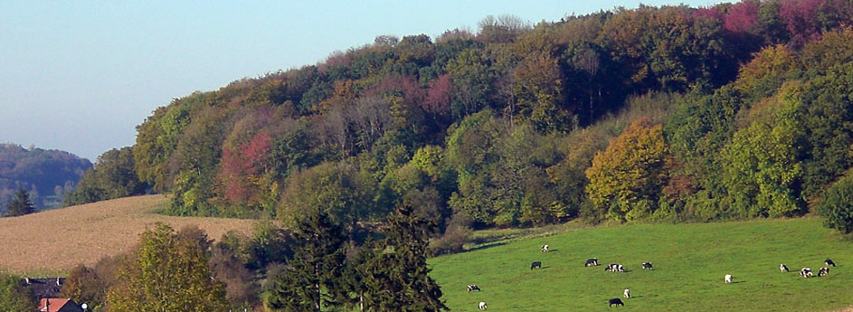 Chateau de Tribomont